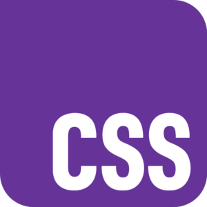 Official_CSS_Logo